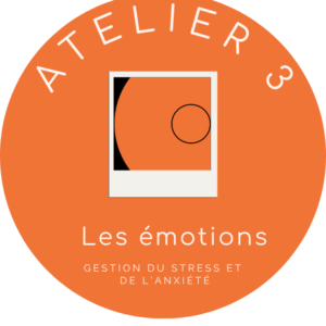 Atelier TWA 3 : Les émotions