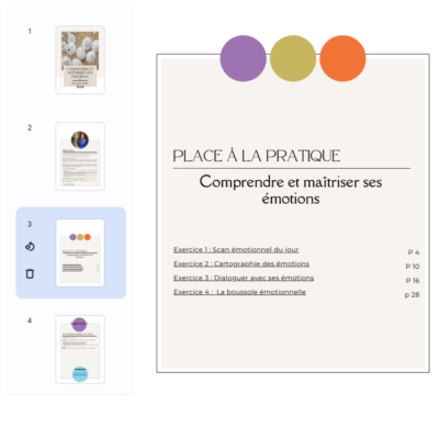 2- Comprendre et maîtriser ses émotions – Image 2