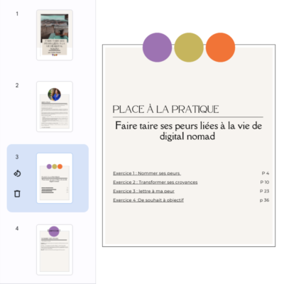 5- Faire taire ses peurs liées à la vie de digital nomad – Image 3